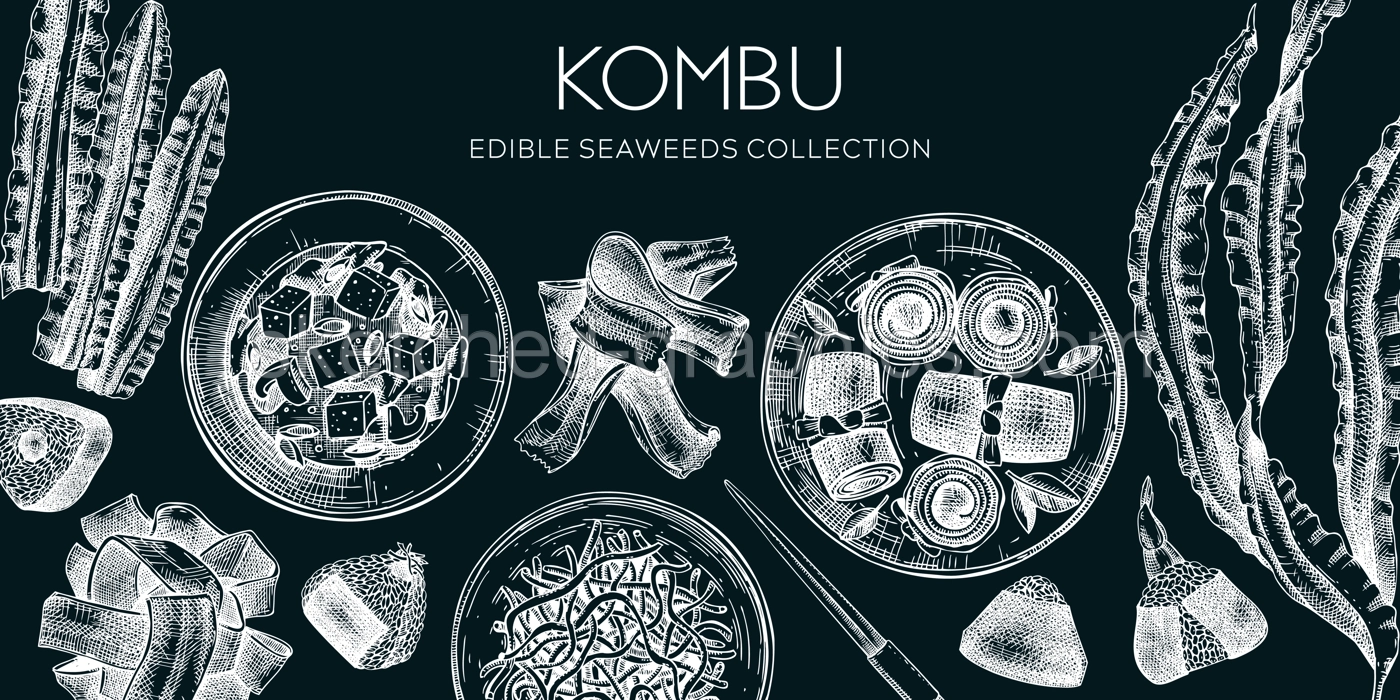 Hand-drawn Kombu banner design. Edible seaweed drawings on chalkboard. Sea vegetable illustrations. Healthy food vector background. Japanese cuisine. Trendy restaurant menu template Illustration